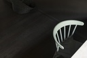 F022-INT5 Black Beauty HD.jpg