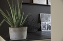 F022-INT2 Black Beauty HD.jpg